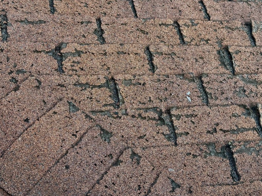 Hail-bruised shingle with granule loss, Watertown WI